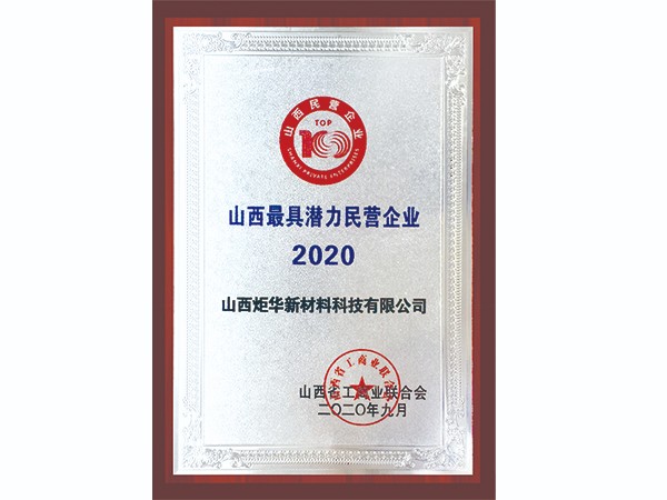 2020最具潛力民營企業(yè)